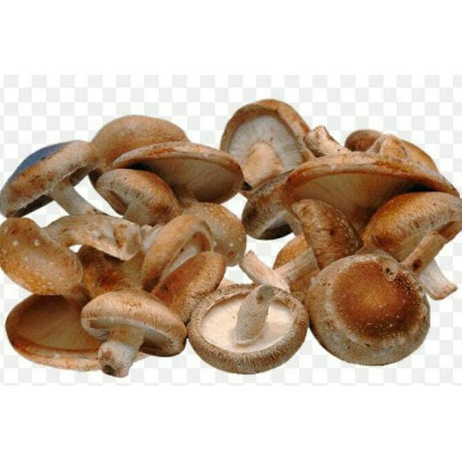 

Diskon Jamur Shitake Fresh 250gr Big Sale