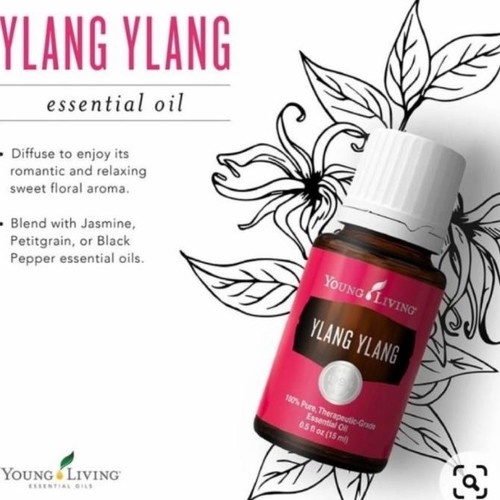 YOUNG LIVING ESSENTIAL OIL | YLANG YLANG 15 ML