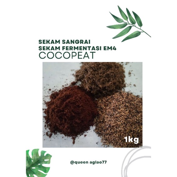 media tanam sekam sangrai, sekam fermentasi, cocopeat