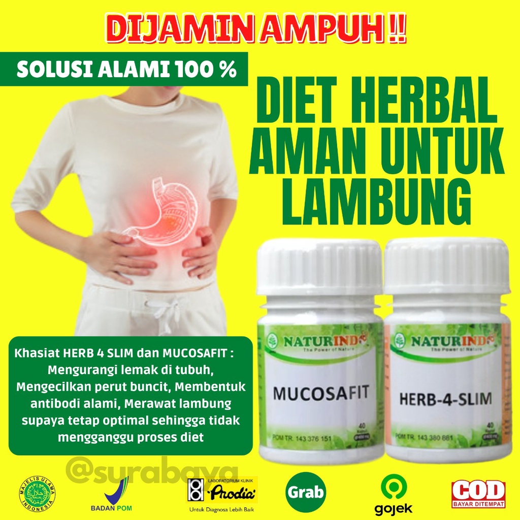 Obat Diet Ampuh Obat Pelangsing Alami BPOM MUI HALAL Slim HERB 4 SLIM Obat Pelangsing Obat Diet Herbal Obat Herbal Penurun Berat Badan PELANGSING BADAN OBAT DIET HERBAL PELUNTUR LEMAK PENGECIL PERUT BUNCIT Herb 4 Slim Naturindo Surabaya-DIET AMAN LAMBUNG