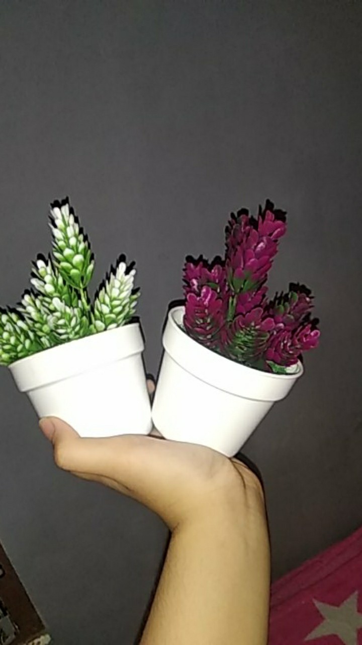 Pot + Bunga Hias Bunga Plastik Bunga Palsu Bunga Artifisial Kaktus Hiasan Rumah Shabby Home Decor