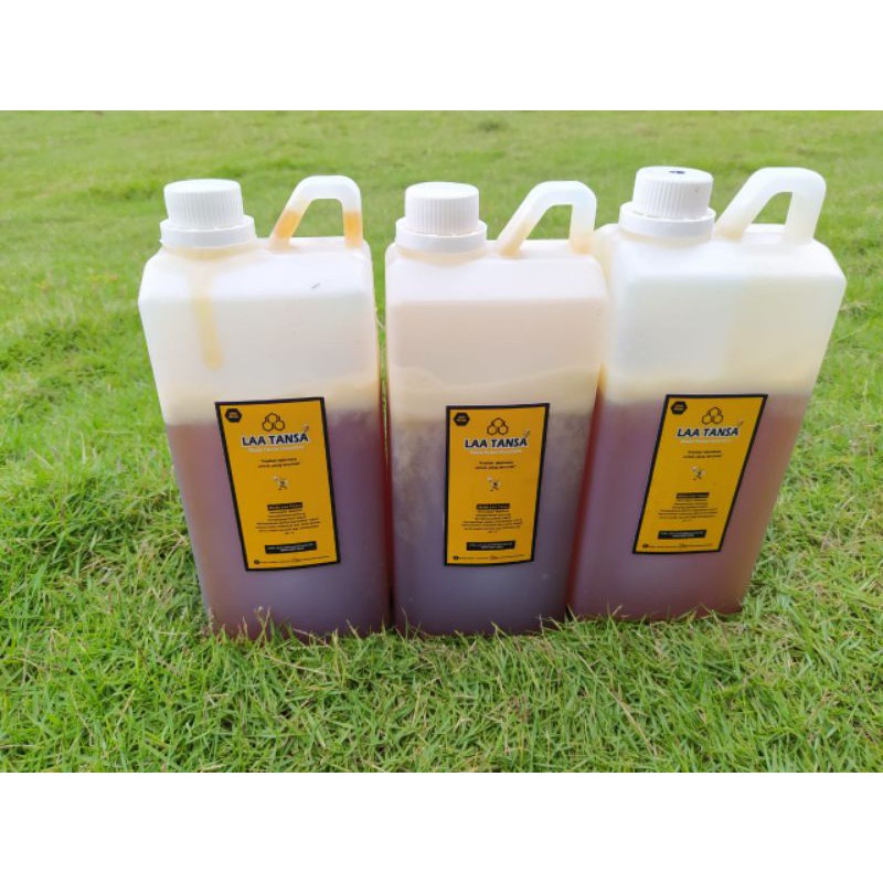 

Madu Hutan Sumatera 1 Kg