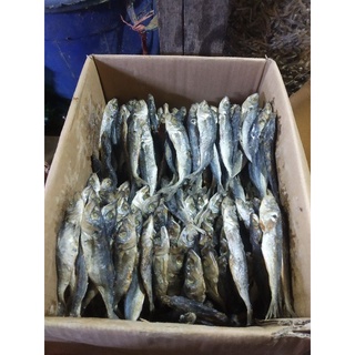 Jual Ikan Asin Ukuran Sedang Atau Ikan Asin Kedo Kemasan Gram Shopee Indonesia