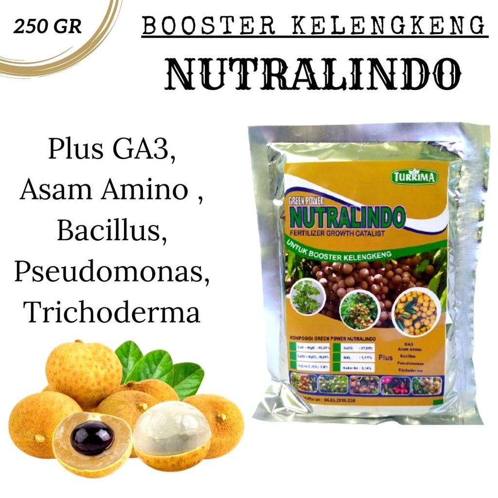 Pupuk Kelengkeng Cepat Berbuah, Pupuk Anti Rontok Bunga Dan Buah Kelengkeng