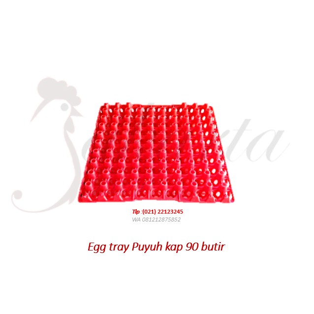 egg tray puyuh rak telur plastik puyuh