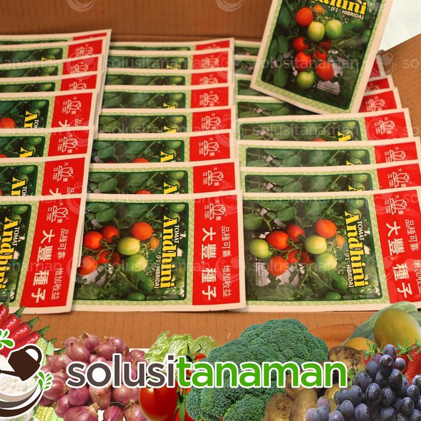 ✧ Benih Tomat Andhini F1 5gr (1.600 Biji) Dataran Rendah - Menengah Bibit Tomat Ta Fung Benih Tomat 