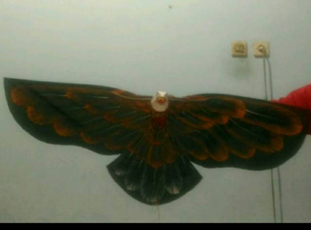 Layang Layang Lukis 2 Dimensi Elang Shopee Indonesia