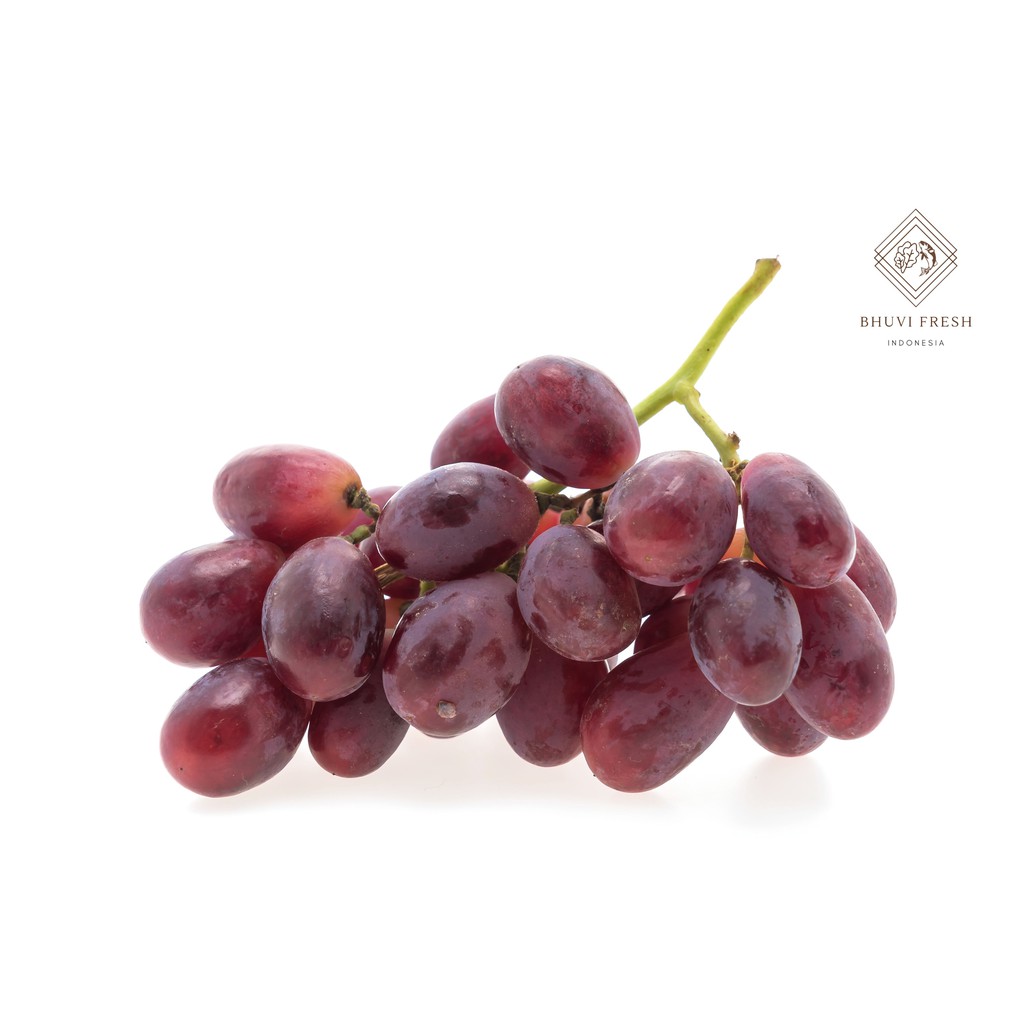 

Buah Anggur Red 1kg Fresh Murah