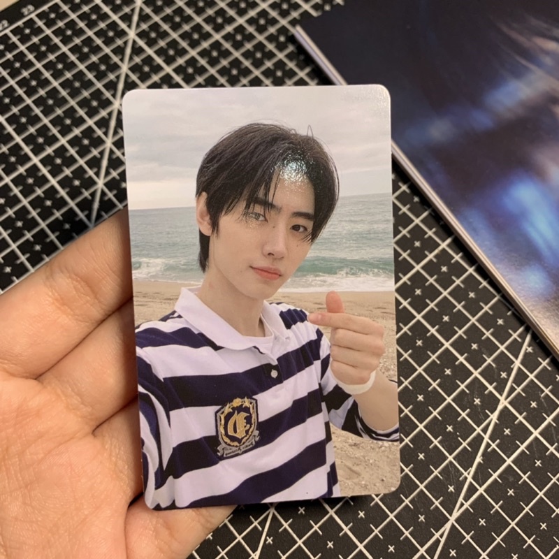 bene tamed dashed sunghoon [BOOKED]