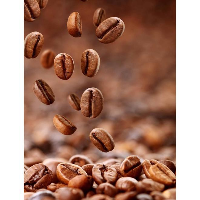 

Promo Akhir Tahun Biji Kopi Arabika Properti Foto Kode 859