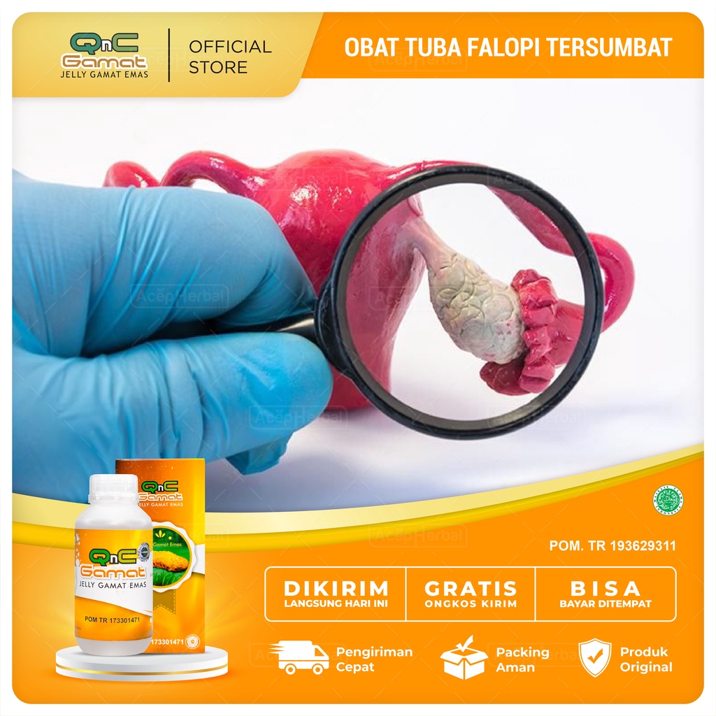 Jual Obat Tuba Falopi Tersumbat Sakit Nyeri Di Area Perut Panggul Demam