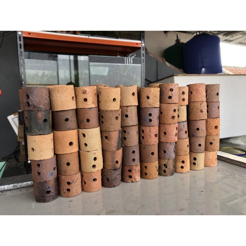 Pot tanaman air aquascape