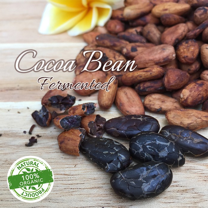 

BIJI COKELAT / Coklat / Biji Kokoa / Raw Cocoa Bean / Organic / Fermented