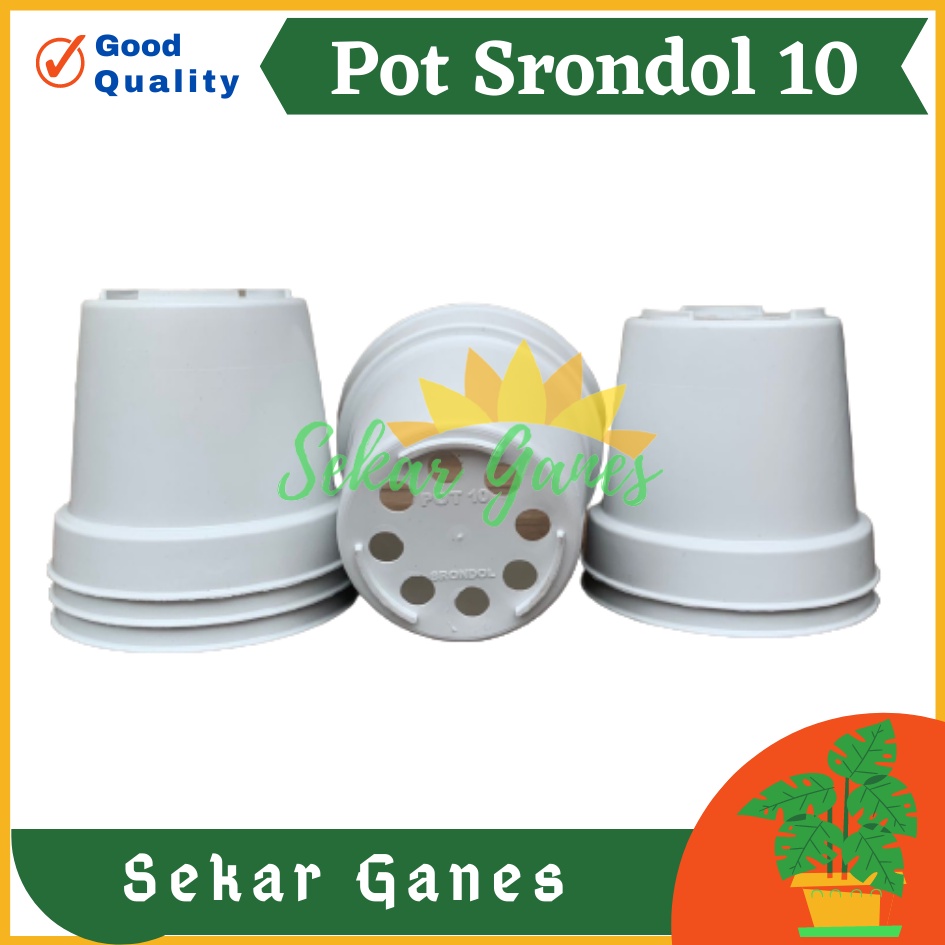 POT BUNGA 10cm PUTIH Pot Tanaman Hias Grosir Murah Plastik Pot 10 cm MURAH