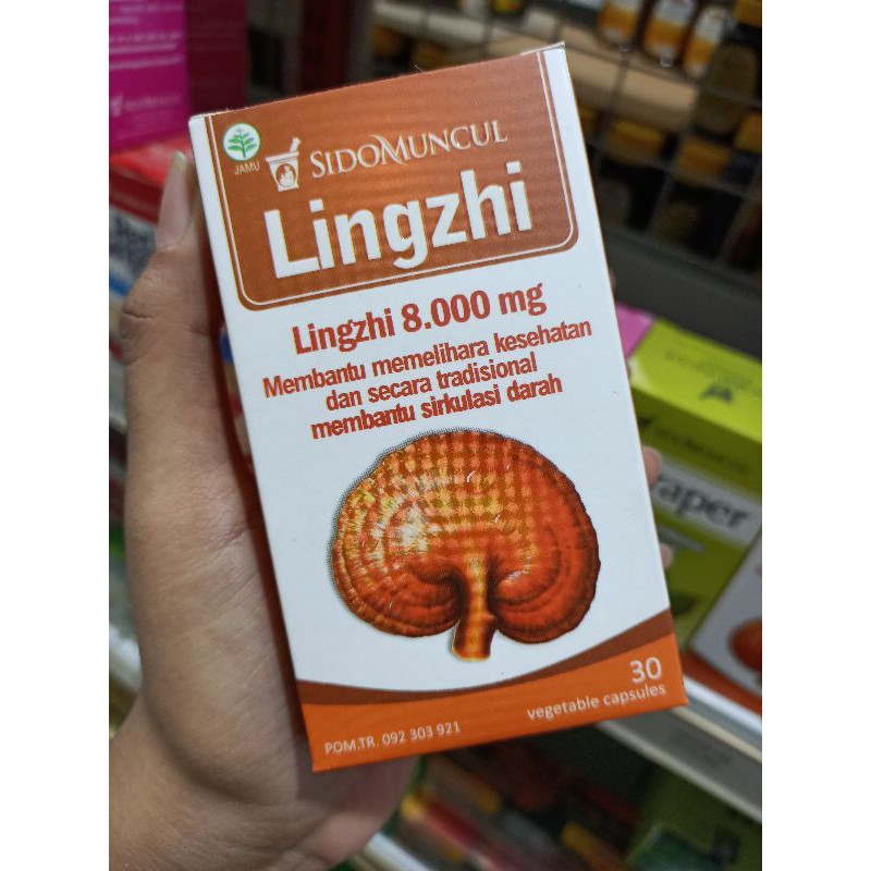 

Jamur Lingzhi