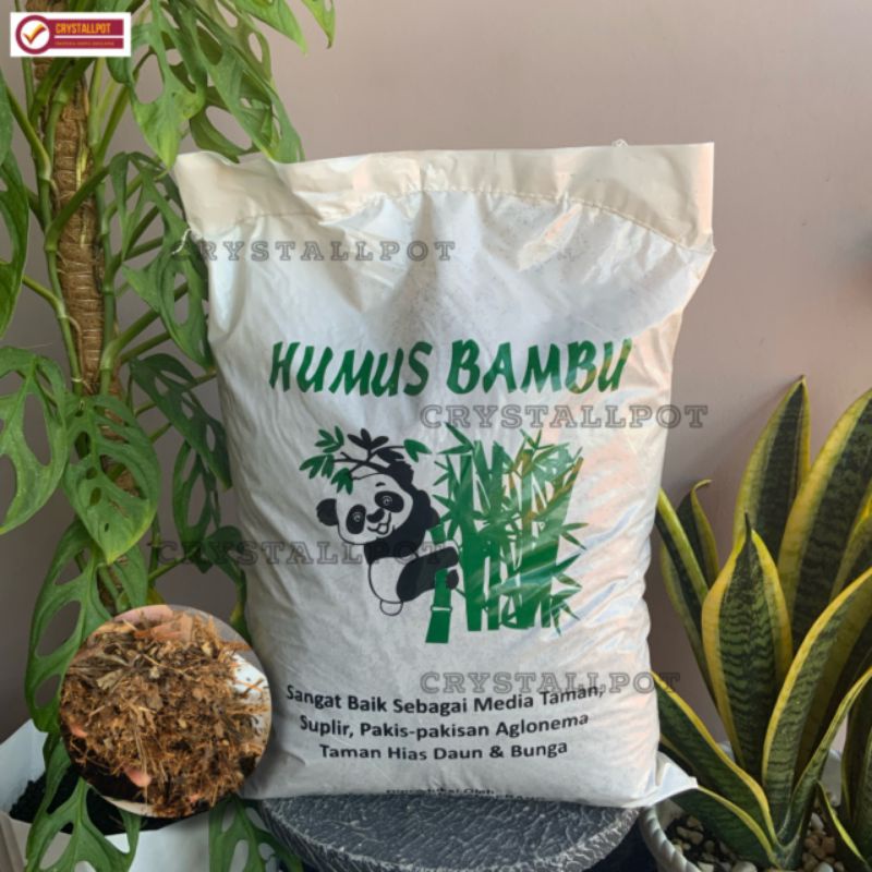 Media Tanam Humus Bambu Untuk Aglonema dan Tanaman hias - HUMUS BAMBU