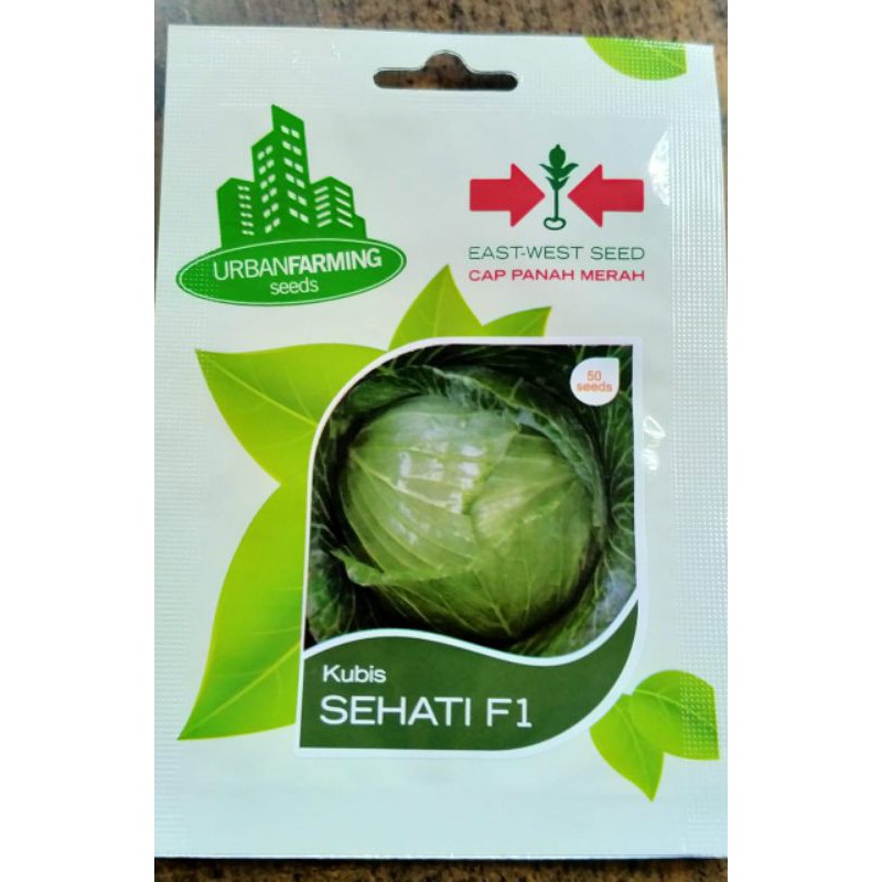 biji bibit kubis panah merah isi 50 seed