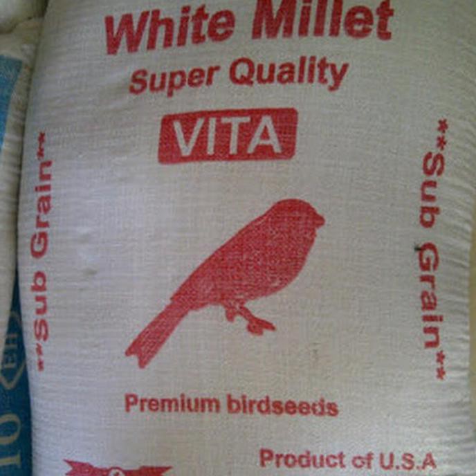 MILET PUTIH KARUNGAN