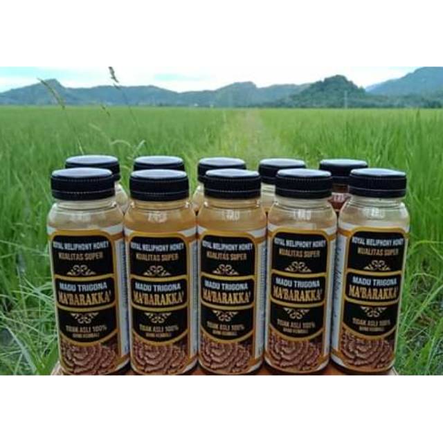 

Madu Trigona Mabarakka Extra 10%