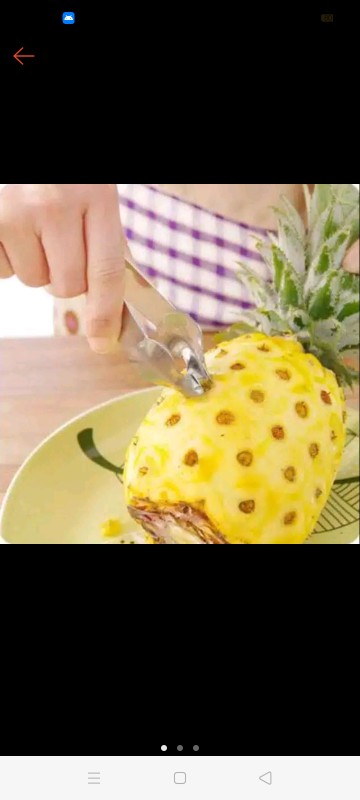 Alat Mata Nanas Stainless Steel / Pengambil Mata Nanas