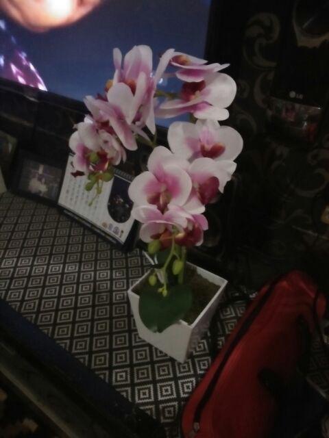 Bunga Plastik Artificial Palsu Artifisial Dekorasi Rumah Ditari Shop Shabby Chic Vintage Anggrek