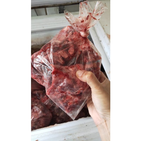

iga Tulangan gondrong