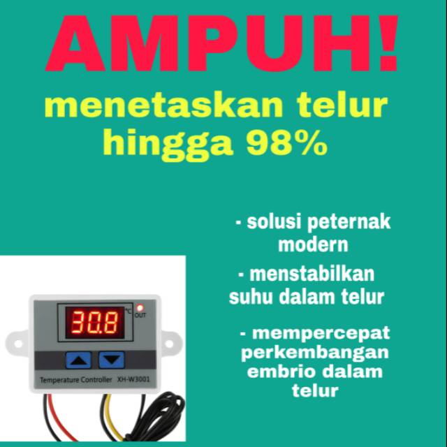 Mesin penetas telur. Termostat digital