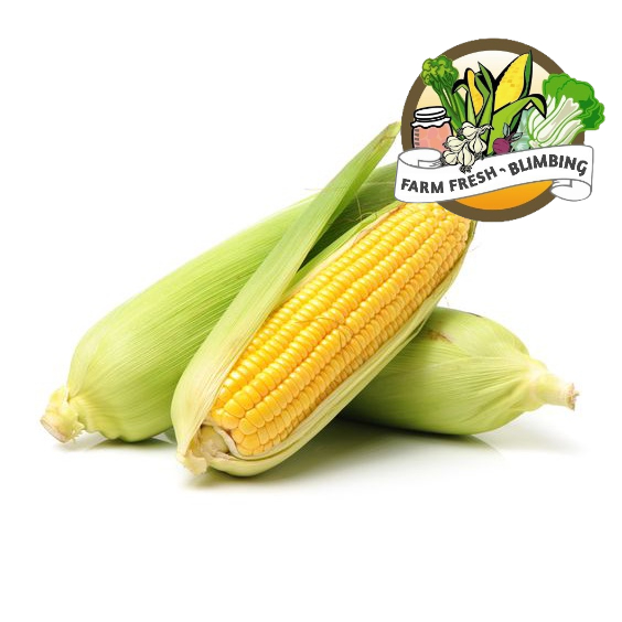 

corn jagung manis 1kg-1.3 kg