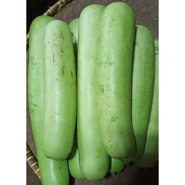 

Labu air / 1buah