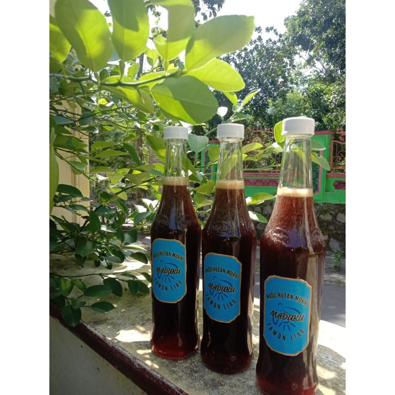 

Madu hitam tawon liar /600 gram