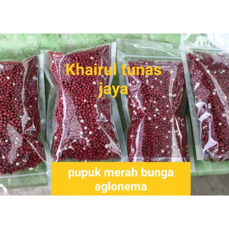 pupuk dekastar merah untuk bunga aglonema Ter baik 200 gram