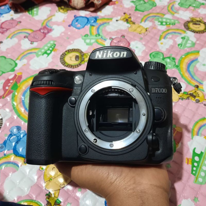 nikon d7000 body only