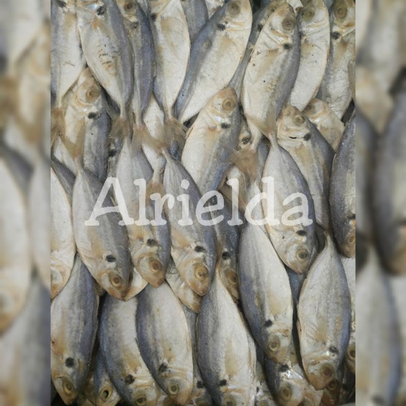 

IKAN ASIN SELAR B3 500GRAM