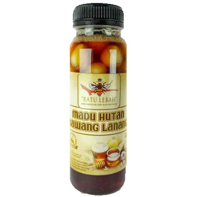 

MADU HUTAN BAWANG LANANG 250 ML ASLI RATU LEBAH