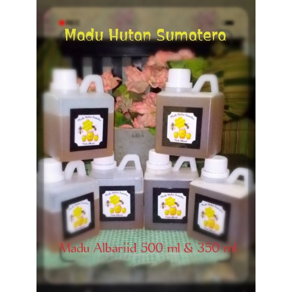 

Madu Hutan Sumatera_Madu Albariid 500 ml