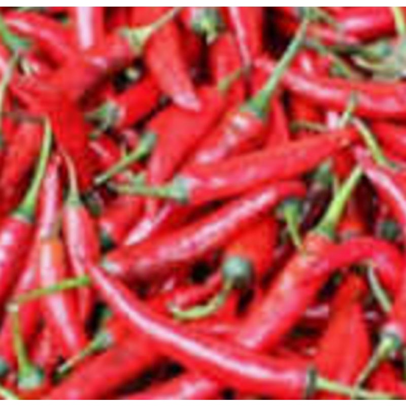 

cabe merah 500