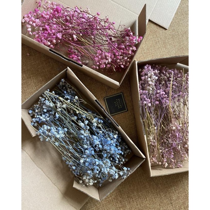 

[COD] Box of dried babybreath/ bunga kering DIY/scrapbook/dekorasi [COD]
