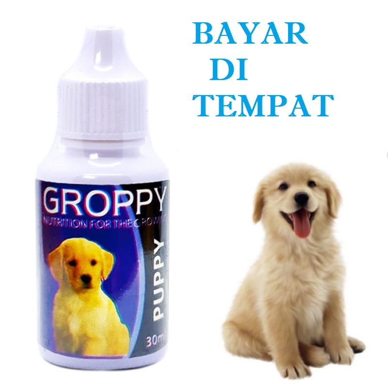 VITAMIN ANAK ANJING PUPPY SUPLEMEN PEMACU PERTUMBUHAN ANAK ANJING PUPPY GROPPY