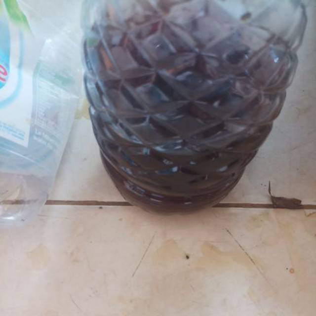 

Ekstrak daun ketapang