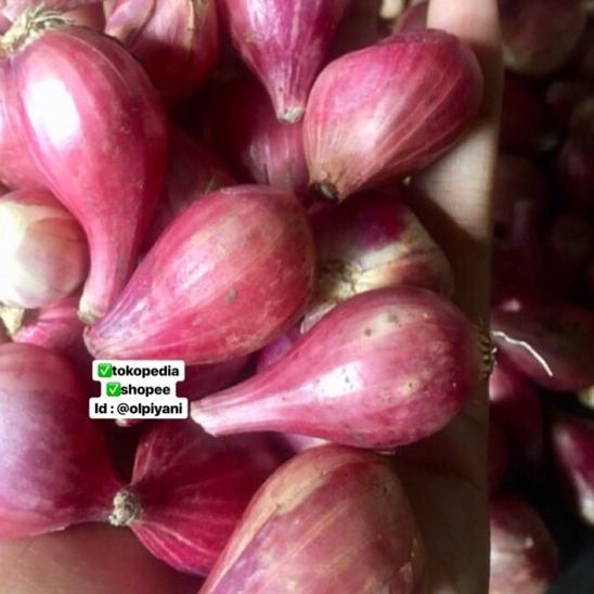 

SALE|SQ27|Bawang merah sedang 1kg