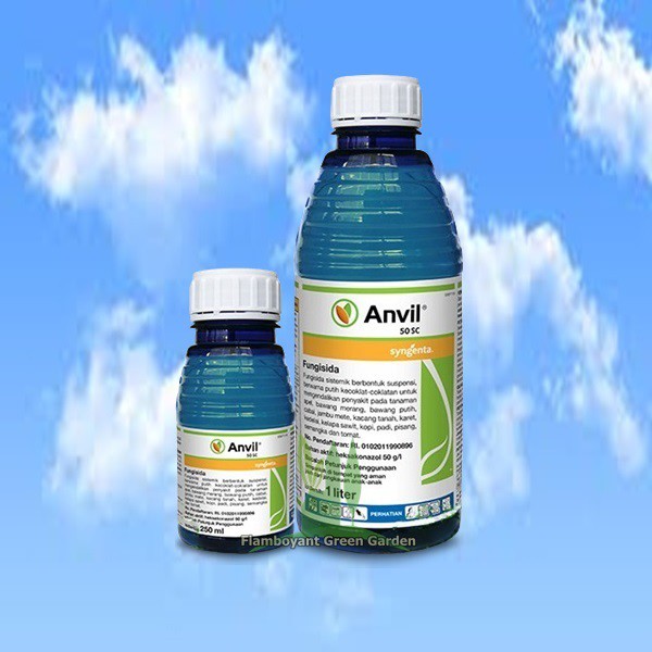 Fungisida Anvil 50 Sc Syngenta Untuk Membasmi Jamur Segala Tanaman 250ml Shopee Indonesia