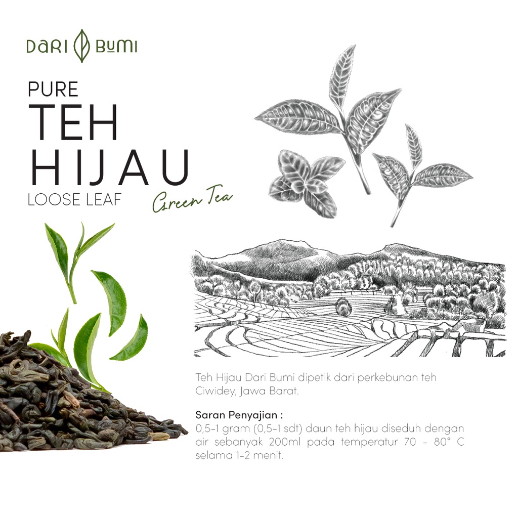 Teh Hijau Murni 25 gr Dari Bumi Greentea Premium