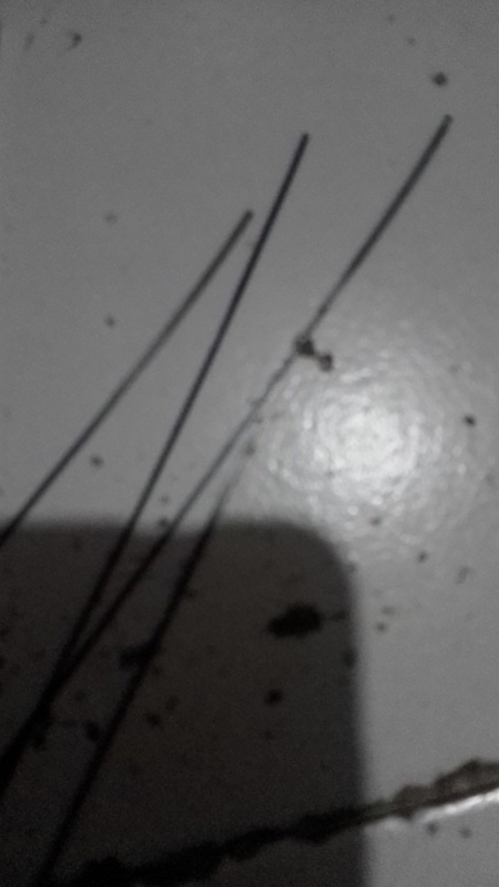 Mata Gergaji Kayu Mata Gergaji Triplek