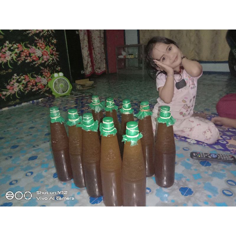 

madu lebah
