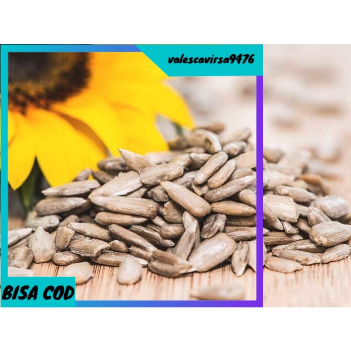 

⭐BISA COD⭐ Sunflower Seed 1 Kg Kuaci Biji Bunga Matahari Kupas Natural Super Food