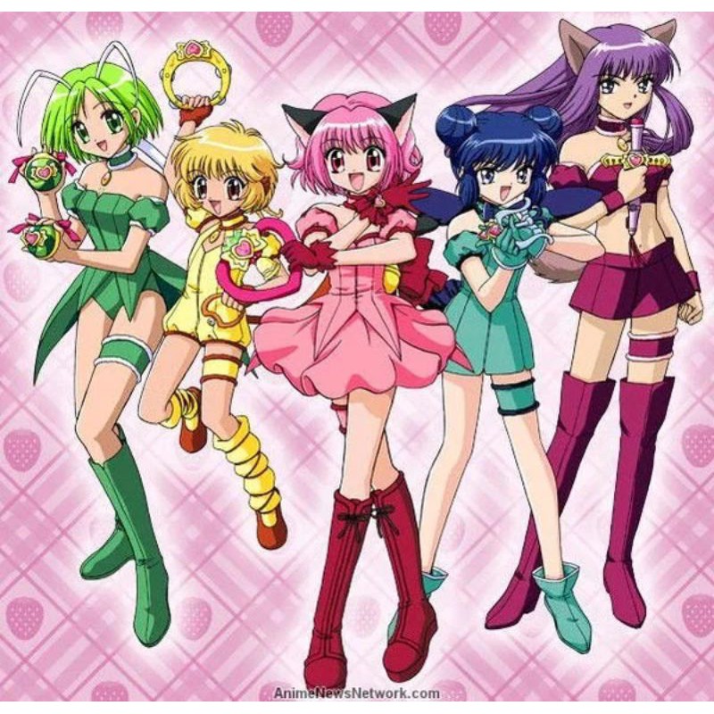Kaset DVD TOKYO MEW MEW