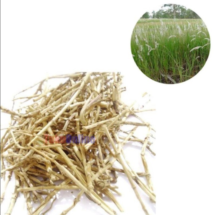 

restukuonline AKAR ALANG ALANG KERING 100 GRAM