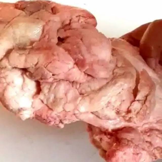 

GAJIH SAPI LOKAL / GAJEH / BEEF FAT / LEMAK SAPI BAKSO [MURAH]