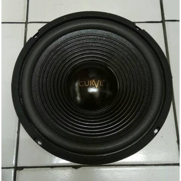 Speaker Curve 10 Inch