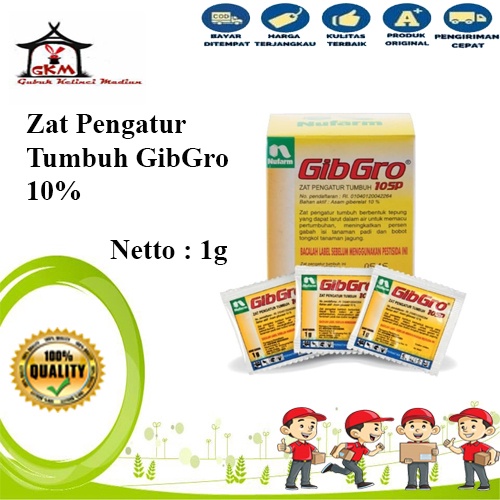 GibGro 10sp Zat Pengatur Tumbuh